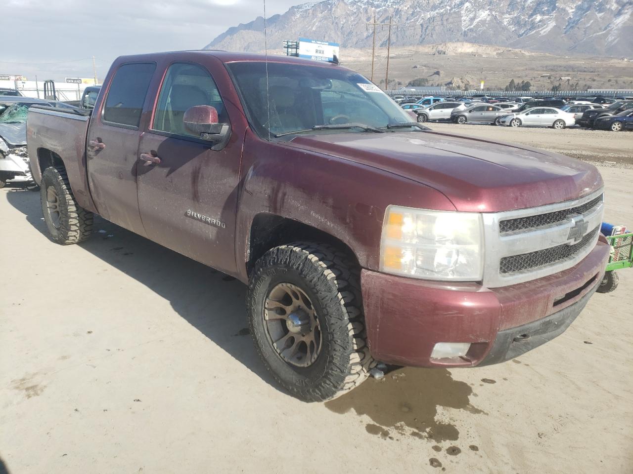 CHEVROLET SILVERADO 2009 with VIN 3GCEK333X9G261393 - Photo from auction