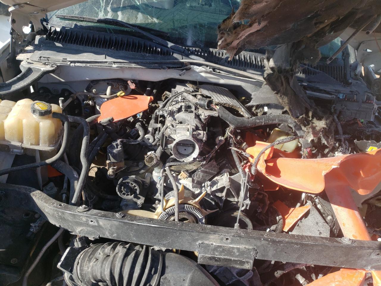 Photo 7 from auction – 2001 CHEVROLET SILVERADO with VIN 2GCEC19T111337637