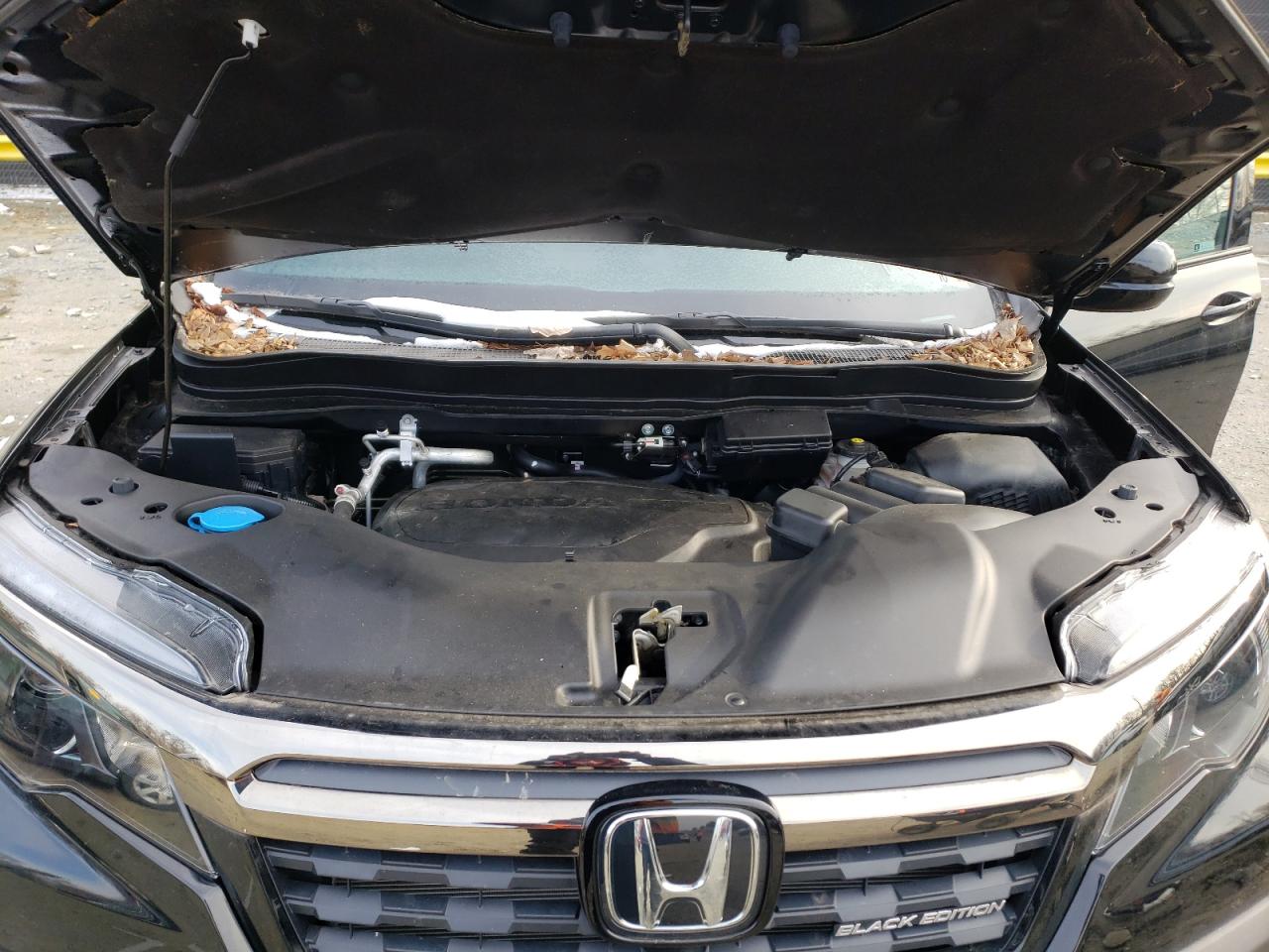 Photo 7 from auction – 2020 HONDA RIDGELINE with VIN 5FPYK3F81LB023599
