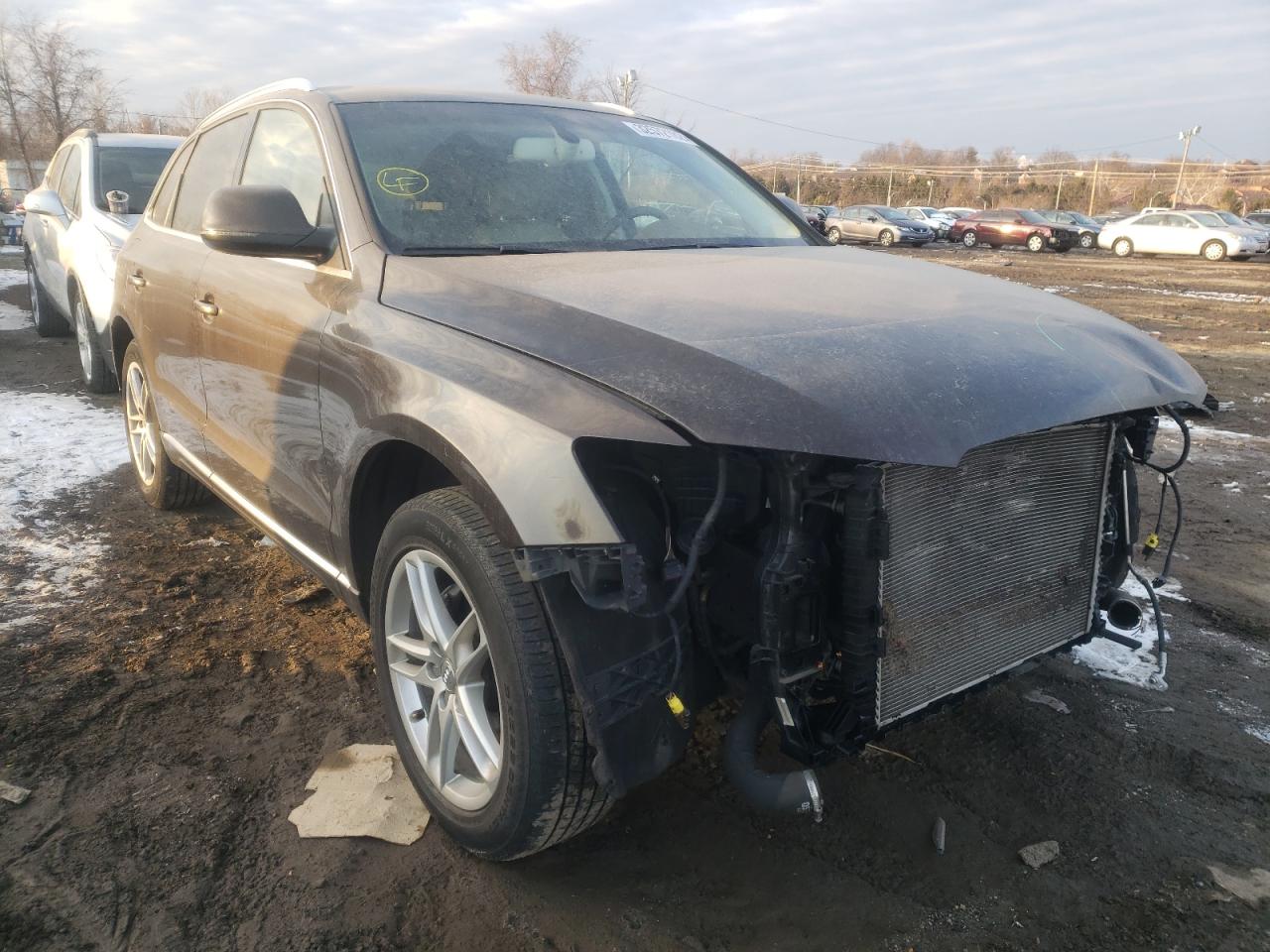 AUDI Q5 PREMIUM 2013 with VIN WA1LFAFP0DA017459 - Photo from auction