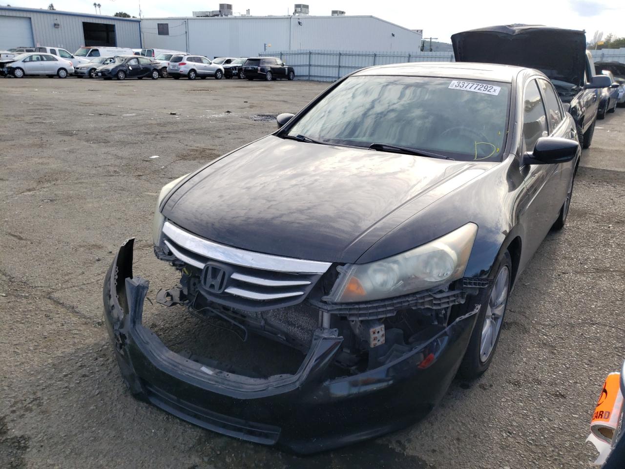 Photo 2 from auction – 2011 HONDA ACCORD EXL with VIN 1HGCP2F86BA083448