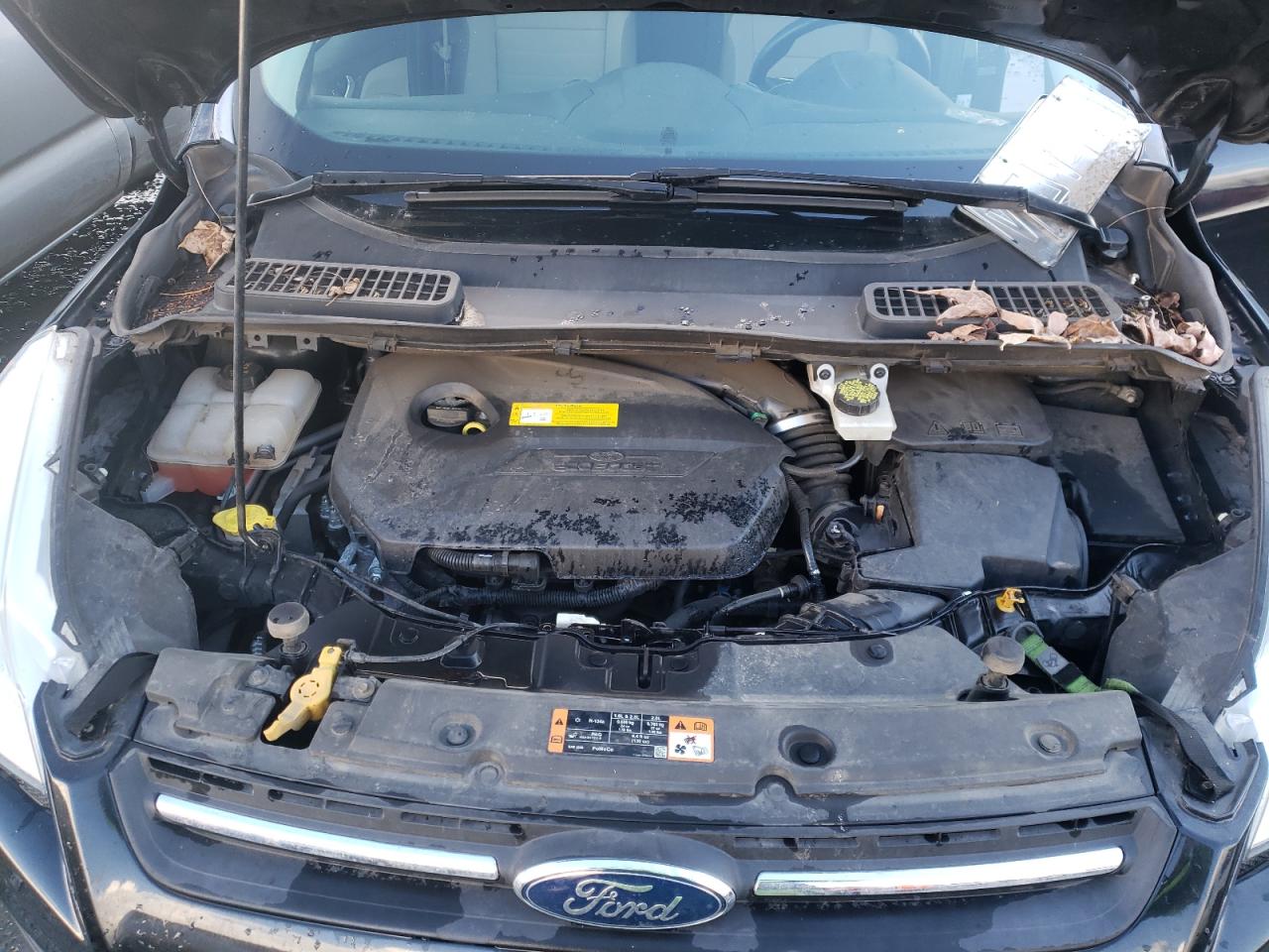 Photo 7 from auction – 2015 FORD ESCAPE SE with VIN 1FMCU9GX7FUC81509