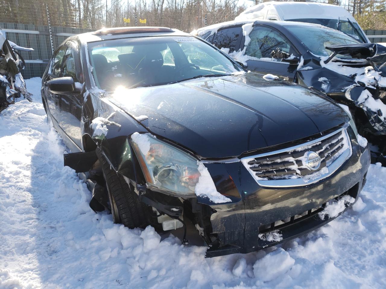 NISSAN MAXIMA SE 2007 with VIN 1N4BA41E17C811909 - Photo from auction