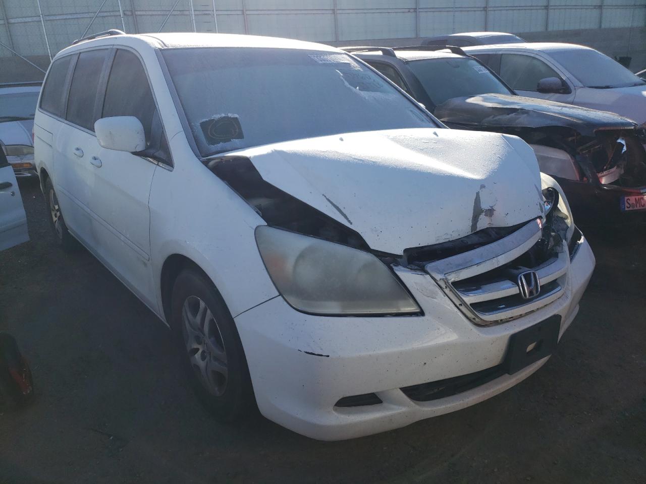HONDA ODYSSEY EX 2005 with VIN 5FNRL387X5B125243 - Photo from auction