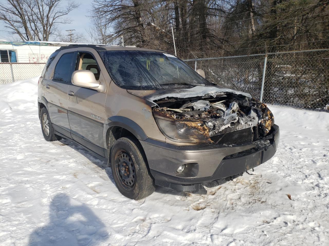 BUICK RENDEZVOUS 2002 with VIN 3G5DB03E12S542472 - Photo from auction