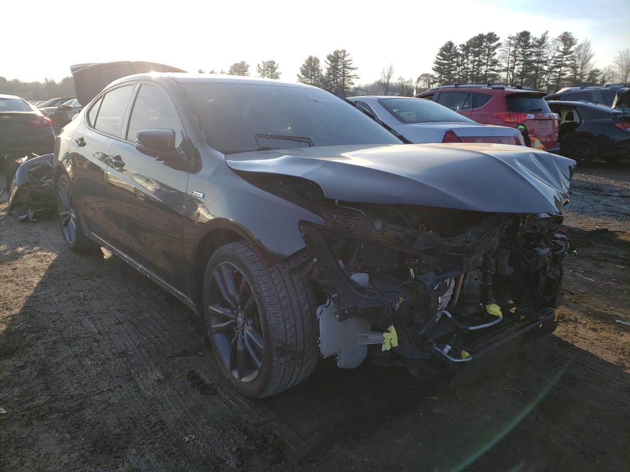 ACURA TLX TECH+A 2018 with VIN 19UUB3F65JA006849 - Photo from auction