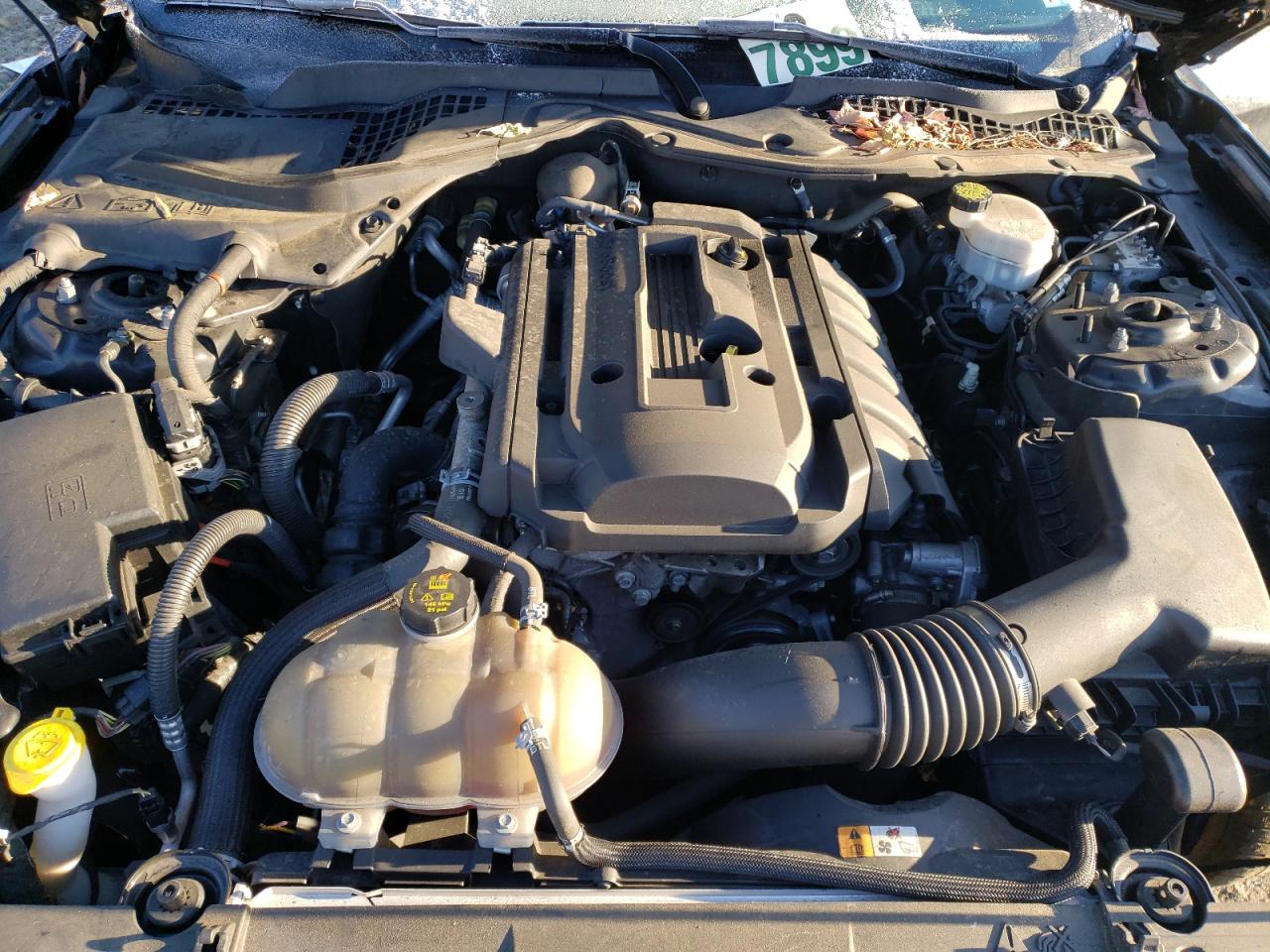 Photo 7 from auction – 2018 FORD MUSTANG with VIN 1FA6P8TH8J5102789