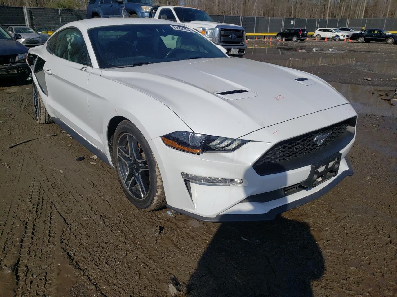 Photo 1 from auction – 2019 FORD MUSTANG with VIN 1FA6P8THXK5189953