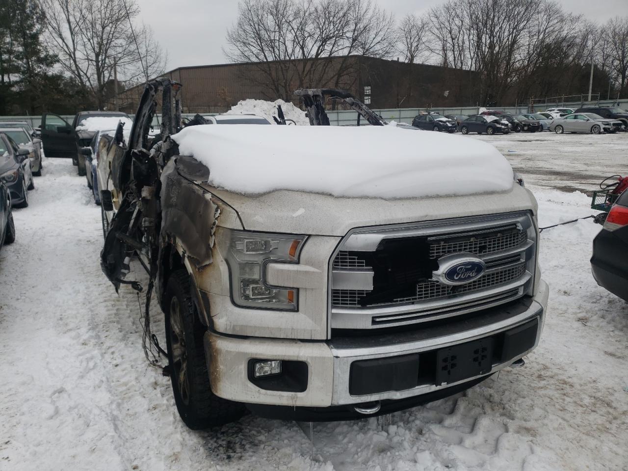 FORD F150 SUPER 2015 with VIN 1FTEW1EG9FFC43215 - Photo from auction