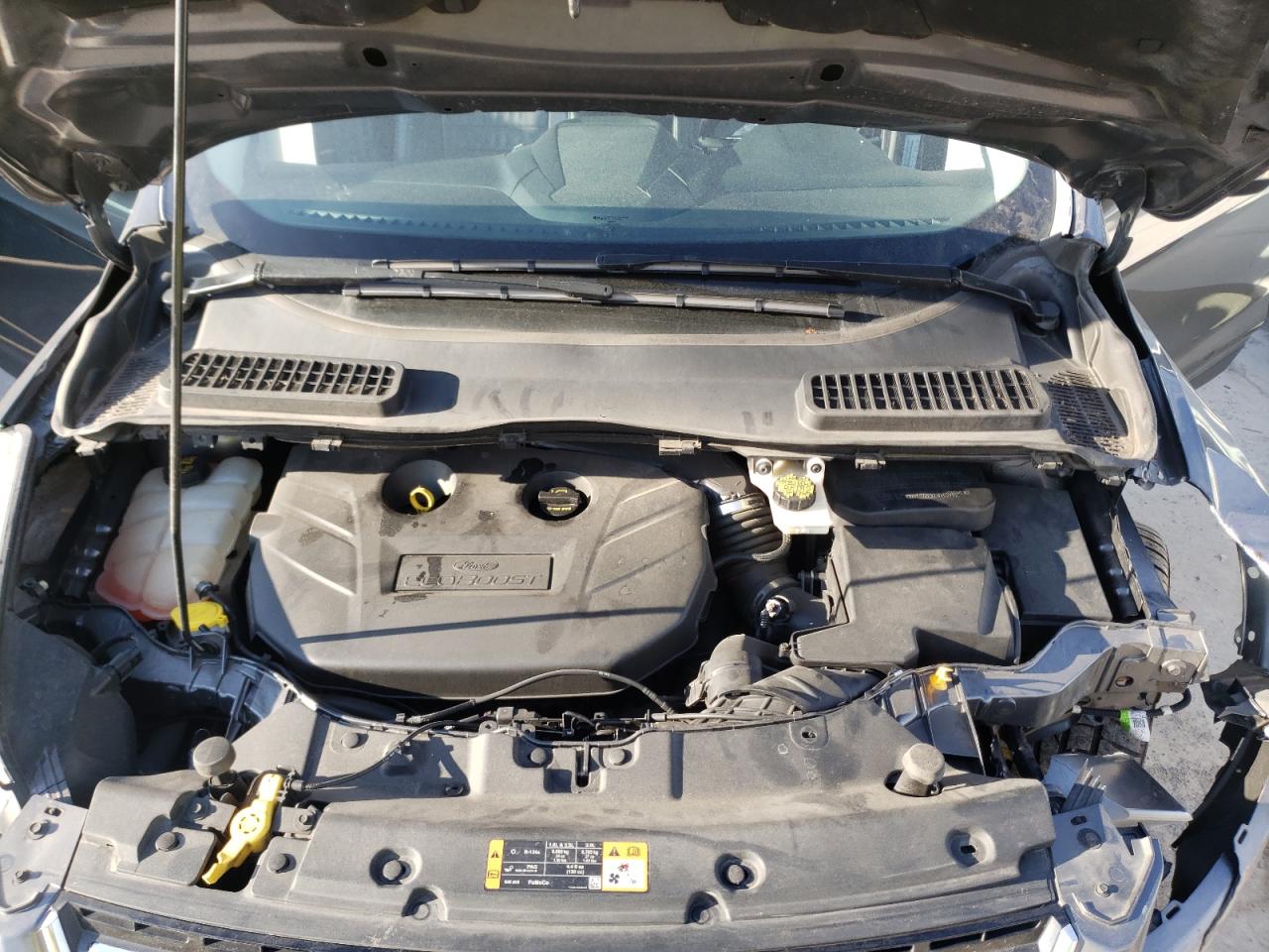 Photo 7 from auction – 2014 FORD ESCAPE TIT with VIN 1FMCU0J98EUD78755