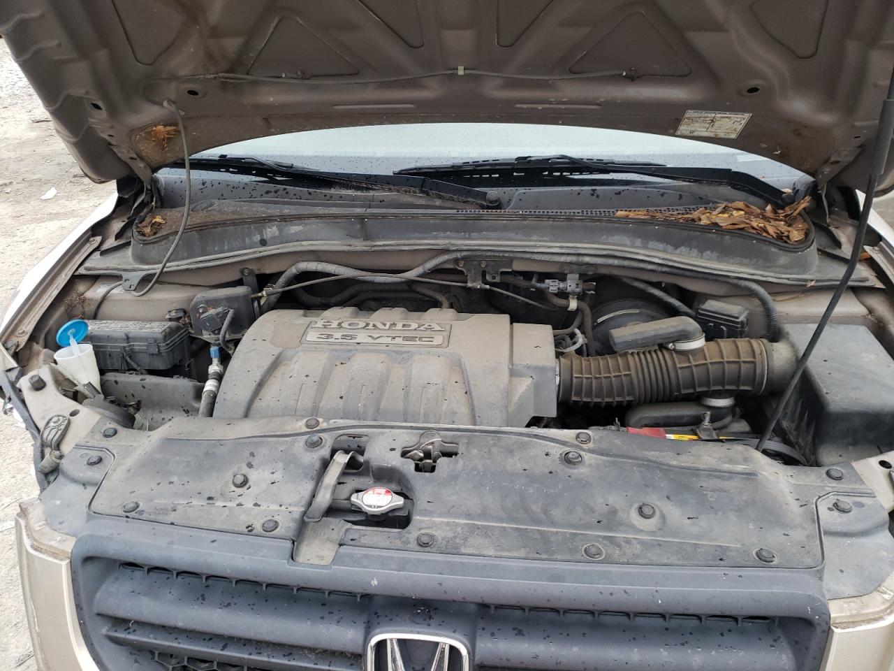 Photo 7 from auction – 2005 HONDA PILOT EX with VIN 5FNYF18435B030083
