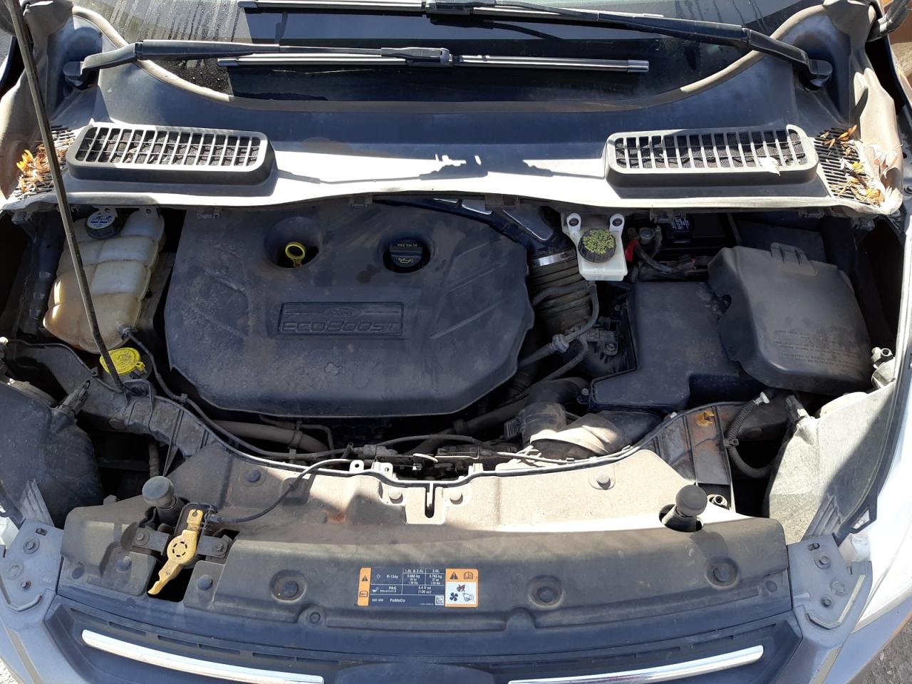Photo 7 from auction – 2013 FORD ESCAPE SE with VIN 1FMCU9G94DUA78737