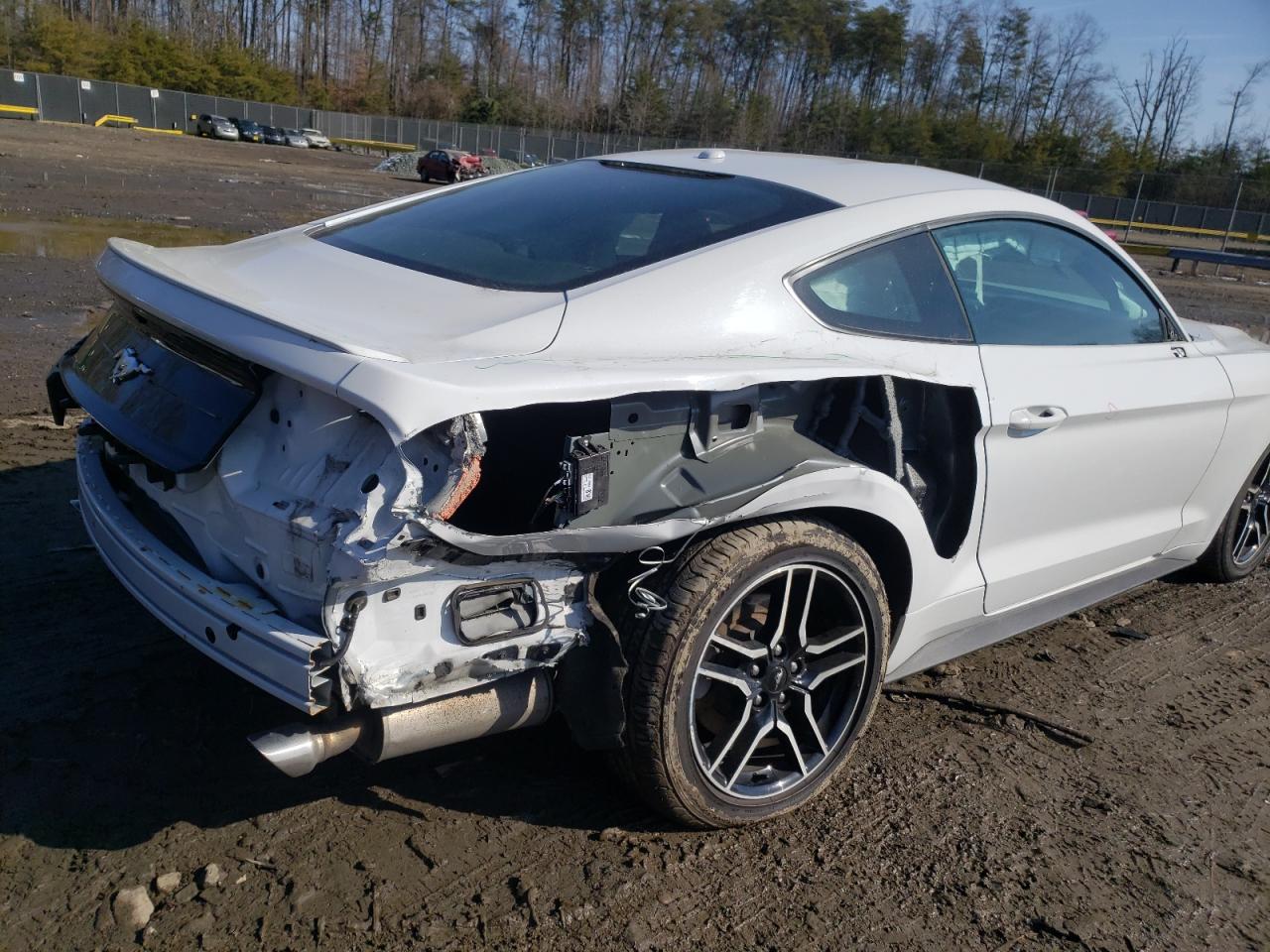 Photo 9 from auction – 2019 FORD MUSTANG with VIN 1FA6P8THXK5189953