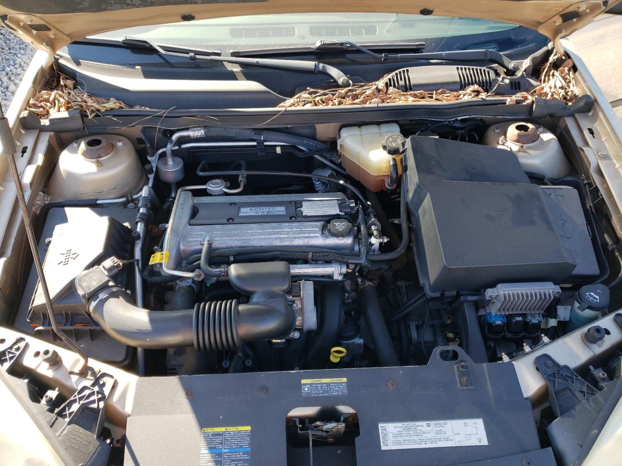 Photo 7 from auction – 2004 CHEVROLET MALIBU with VIN 1G1ZS52F44F171023