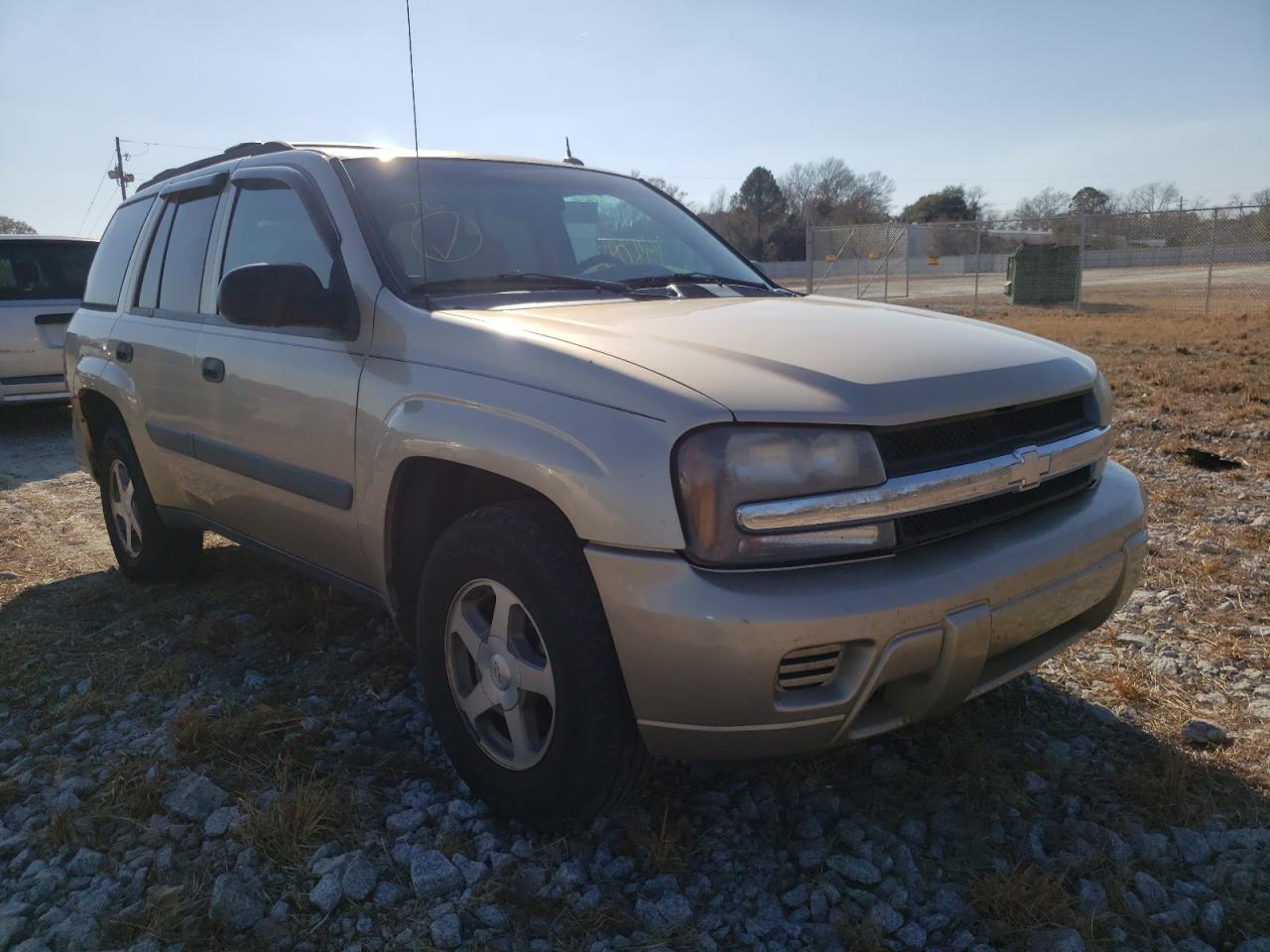 CHEVROLET TRAILBLAZE 2005 with VIN 1GNDS13S452166636 - Photo from auction