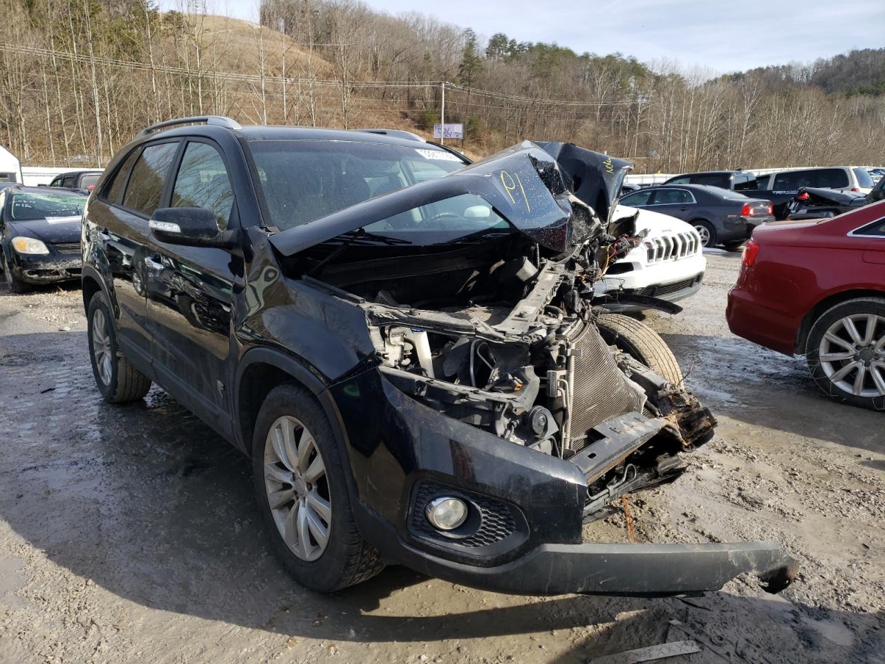 KIA SORENTO BA 2011 with VIN 5XYKT4A29BG140519 - Photo from auction