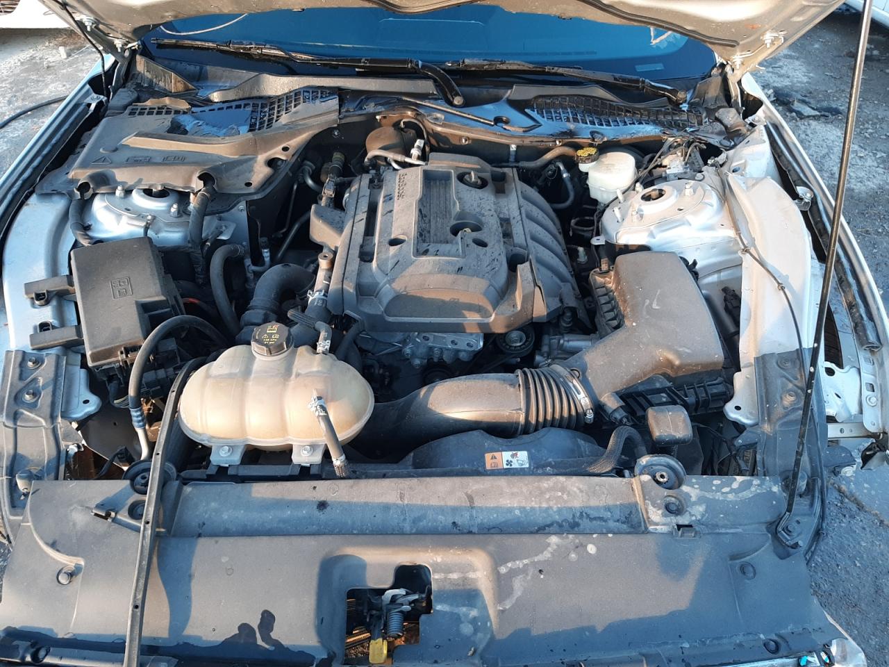 Photo 7 from auction – 2016 FORD MUSTANG with VIN 1FA6P8TH5G5321329