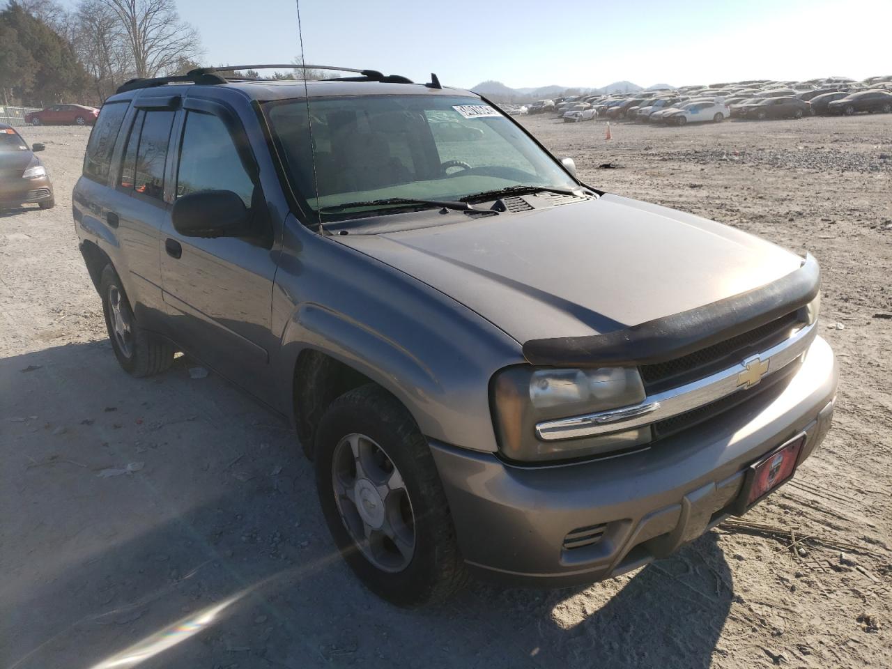 CHEVROLET TRAILBLAZE 2007 with VIN 1GNDT13S772166419 - Photo from auction