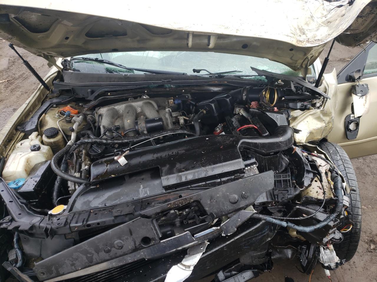 Photo 7 from auction – 2004 NISSAN MAXIMA SE with VIN 1N4BA41E24C869359