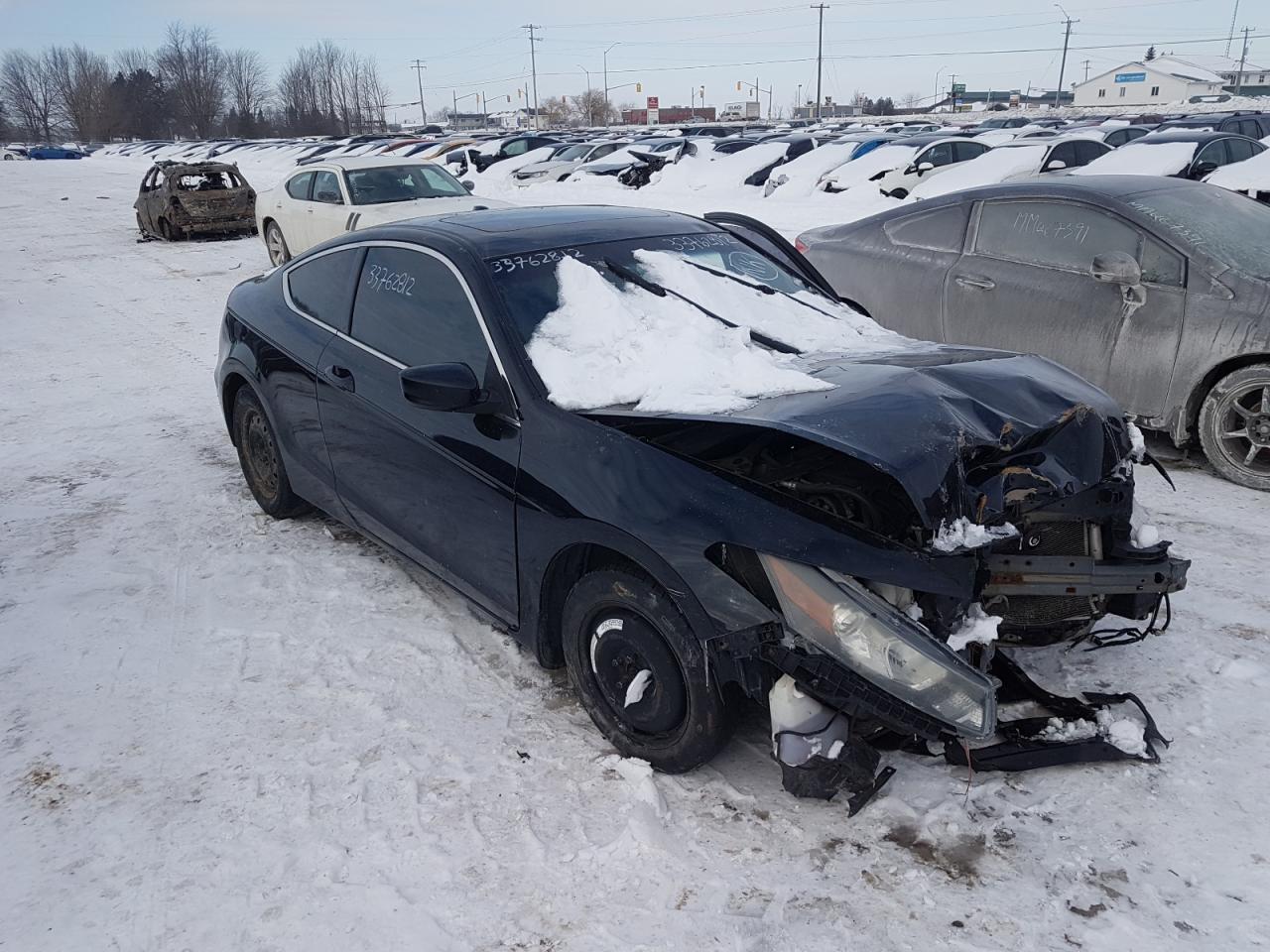 HONDA ACCORD EXL 2008 with VIN 1HGCS12828A800726 - Photo from auction