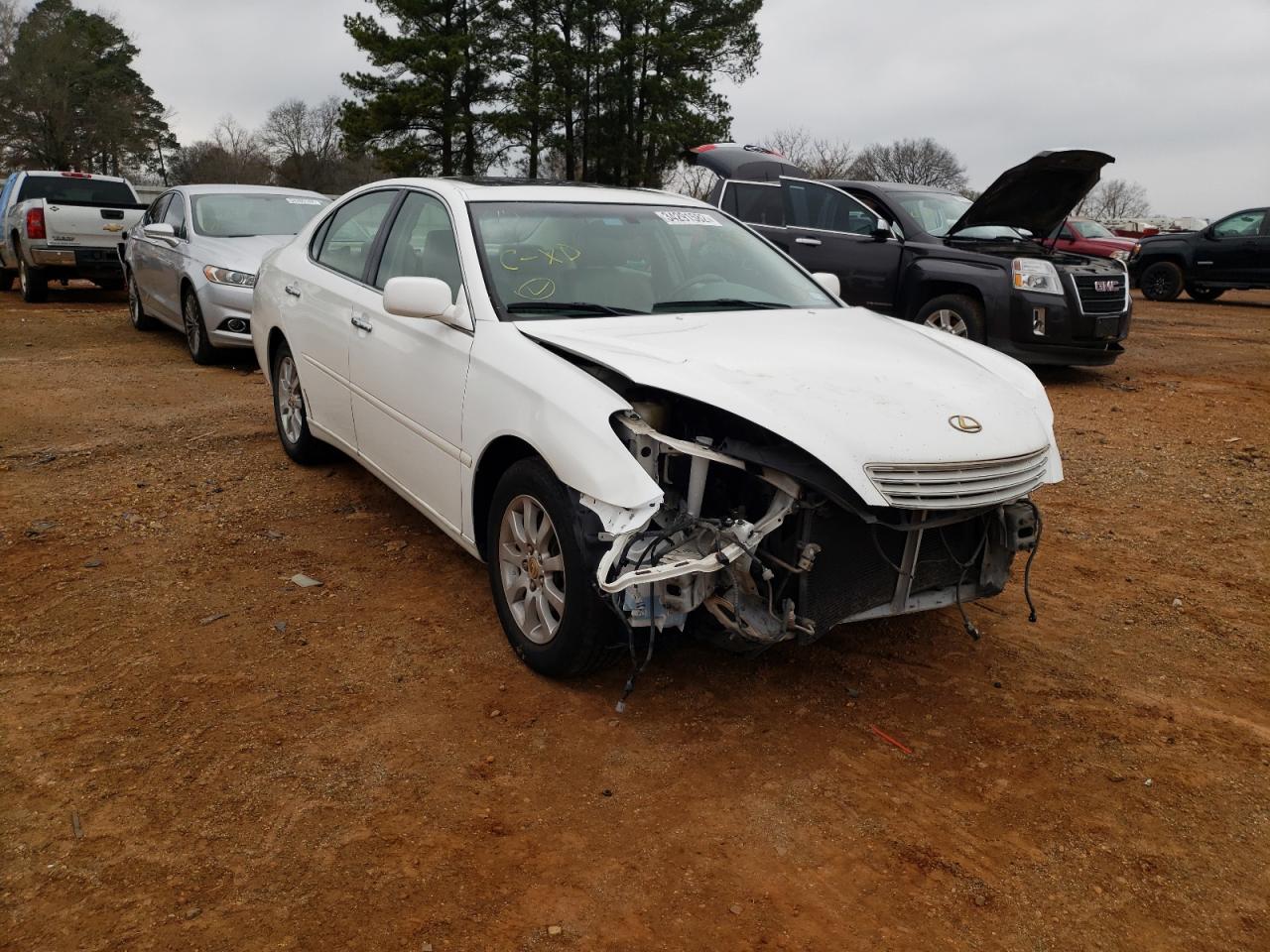 LEXUS ES 300 2002 with VIN JTHBF30G920029939 - Photo from auction