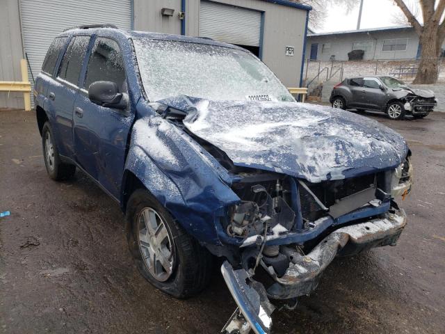 CHEVROLET TRAILBLAZE 2006 with VIN 1GNDT13S562134843 - Photo from auction
