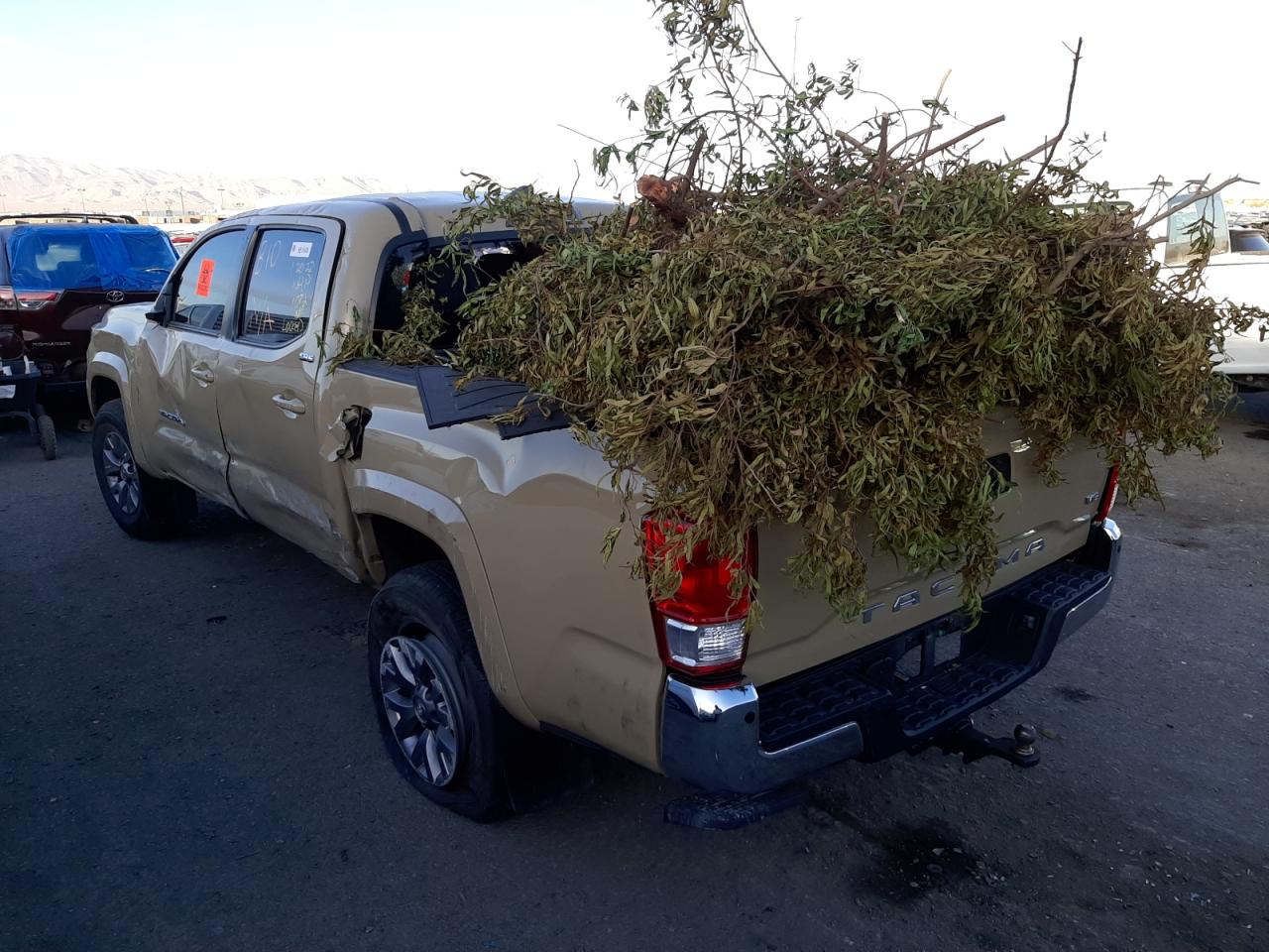 Photo 3 from auction – 2017 TOYOTA TACOMA DOU with VIN 3TMAZ5CN1HM047545