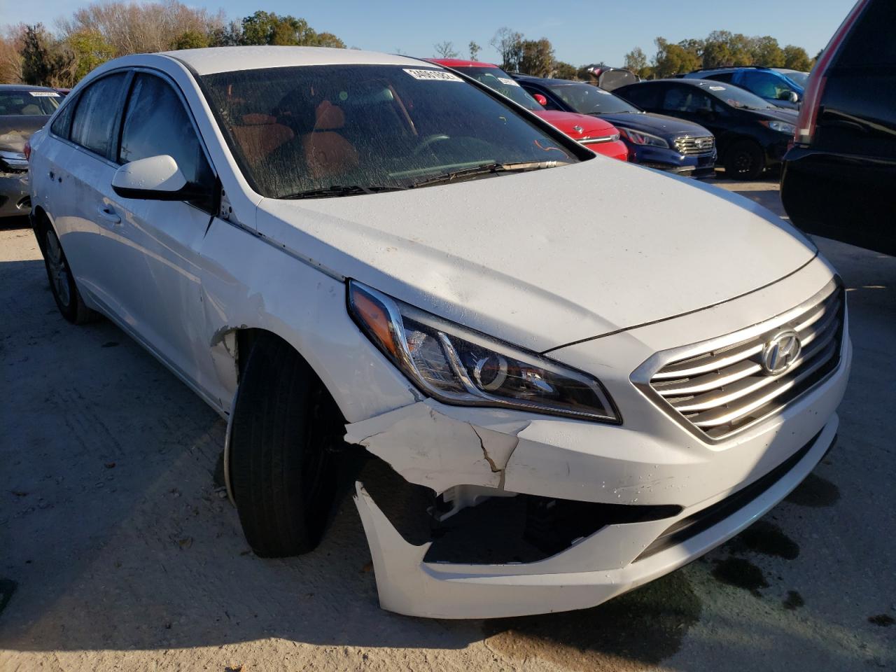 HYUNDAI SONATA SE 2016 with VIN 5NPE24AF4GH374165 - Photo from auction