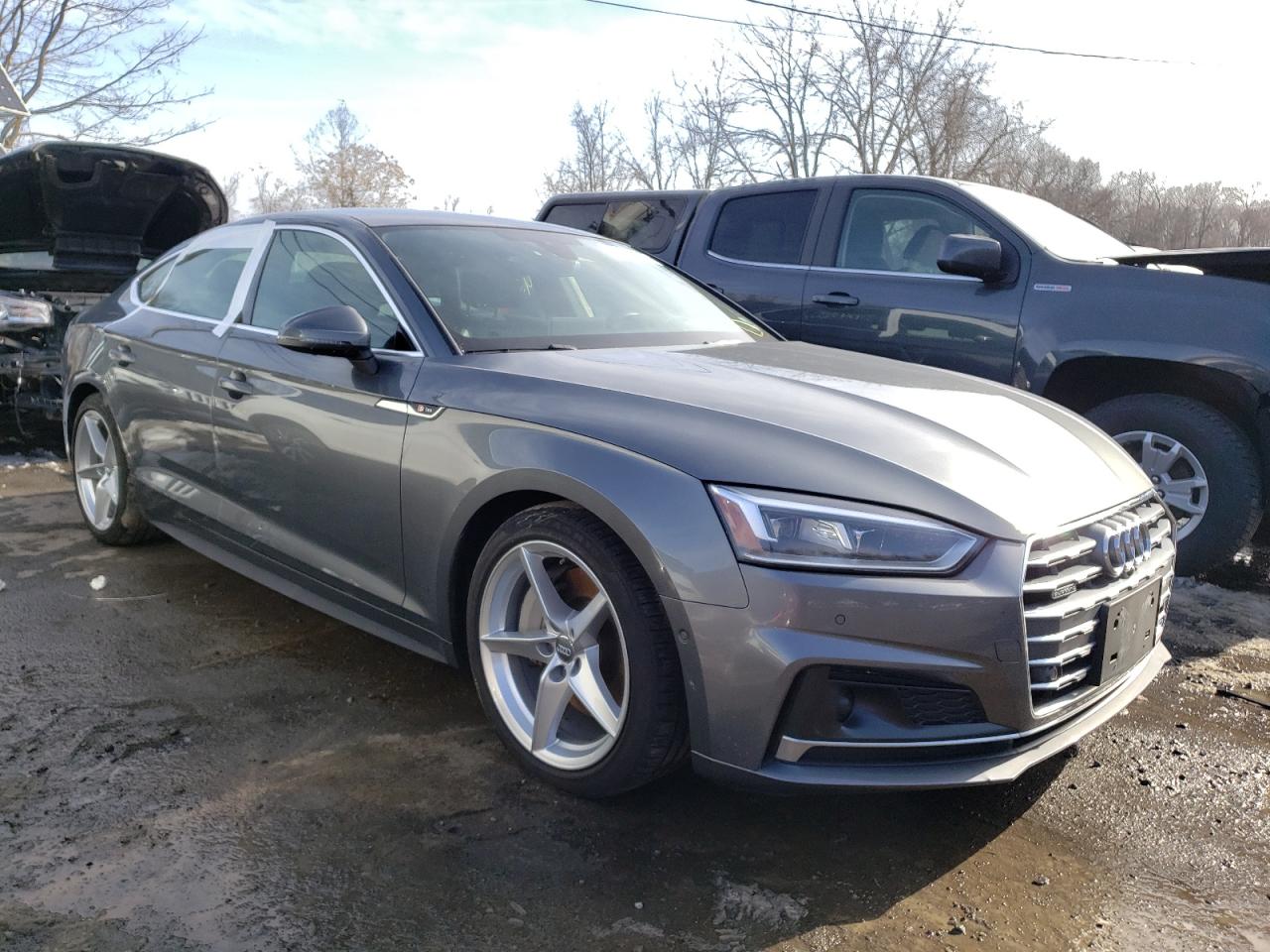 AUDI A5 PRESTIG 2019 with VIN WAUFNCF56KA067065 - Photo from auction