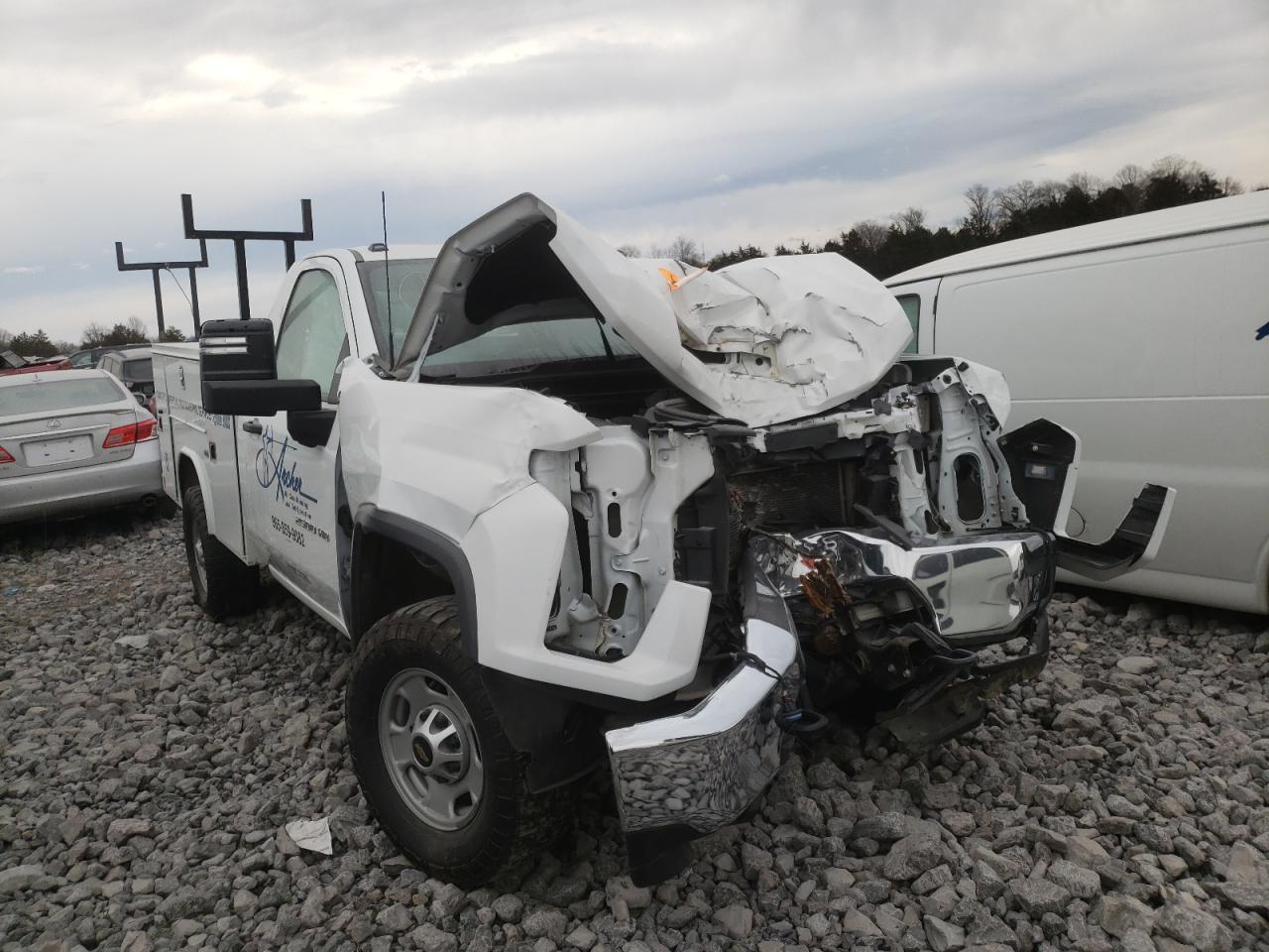 CHEVROLET SILVERADO 2020 with VIN 1GC0YLE72LF193950 - Photo from auction
