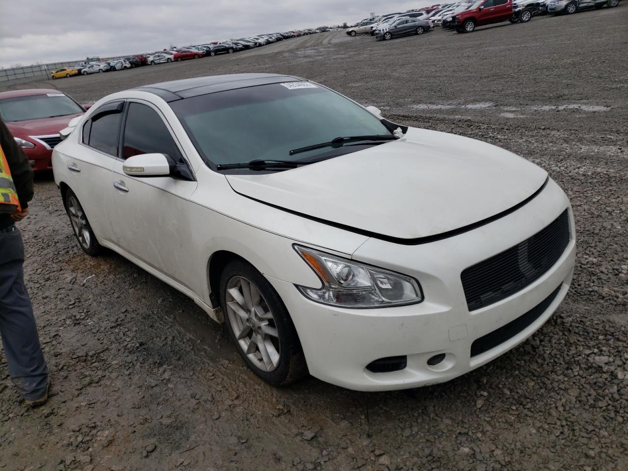 NISSAN MAXIMA 2009 with VIN 1N4AA51E39C834175 - Photo from auction