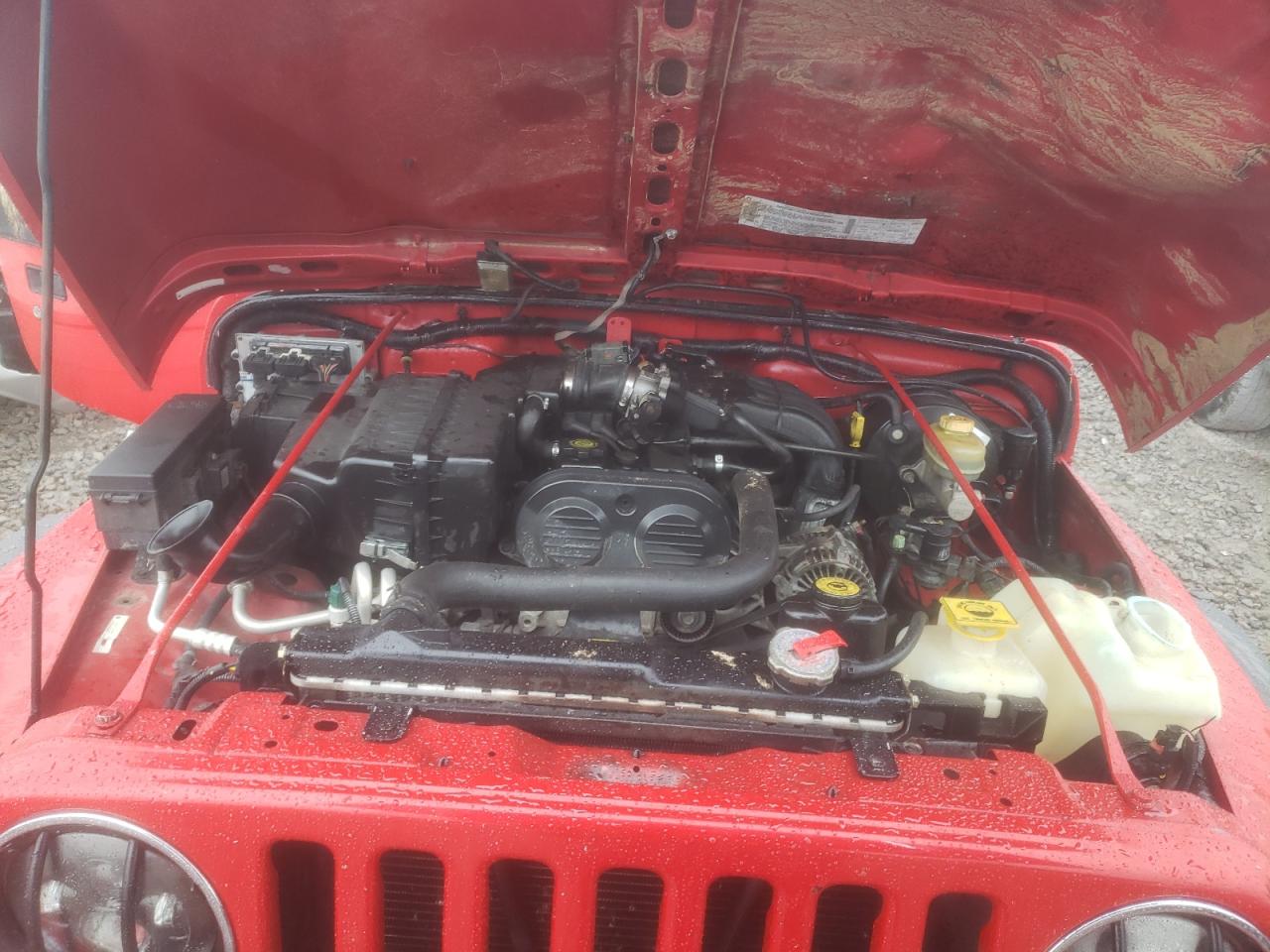 Photo 7 from auction – 2003 JEEP WRANGLER / with VIN 1J4FA29113P372449