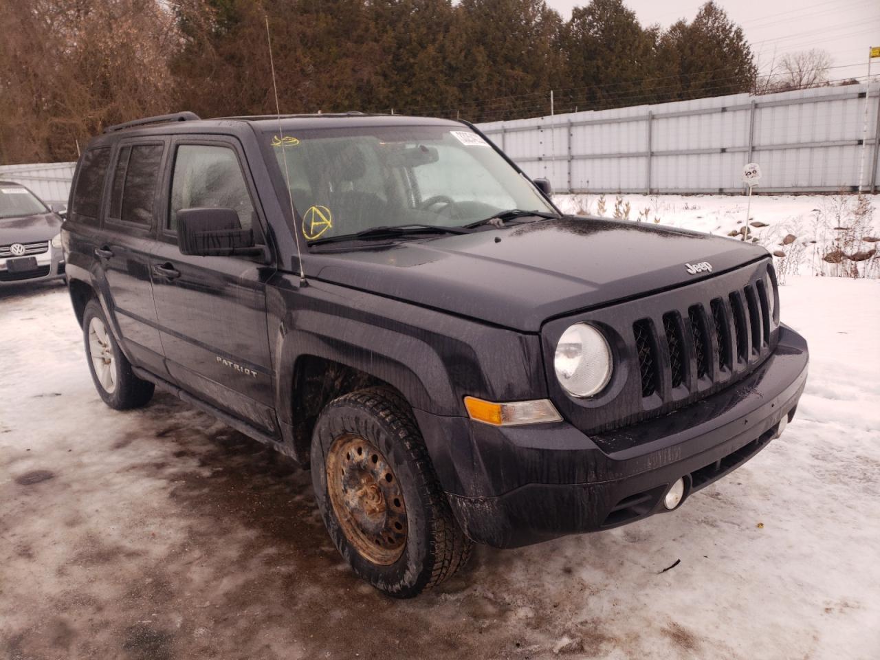 JEEP PATRIOT 2014 with VIN 1C4NJRABXED779978 - Photo from auction