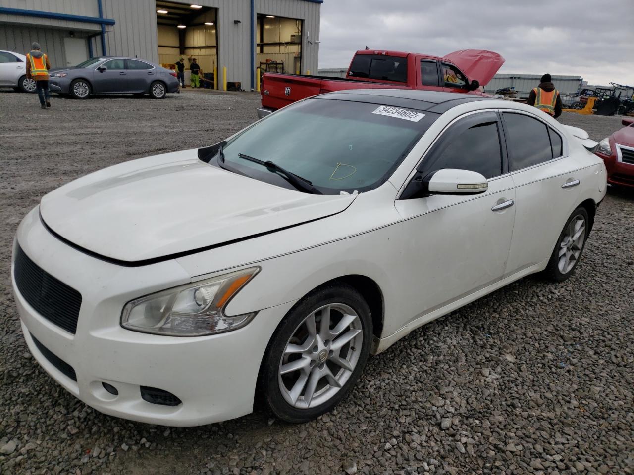 Photo 2 from auction – 2009 NISSAN MAXIMA with VIN 1N4AA51E39C834175
