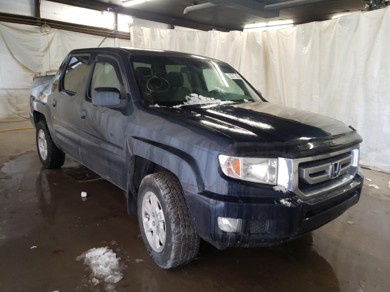 HONDA RIDGELINE 2011 with VIN 5FPYK1F40BB451230 - Photo from auction