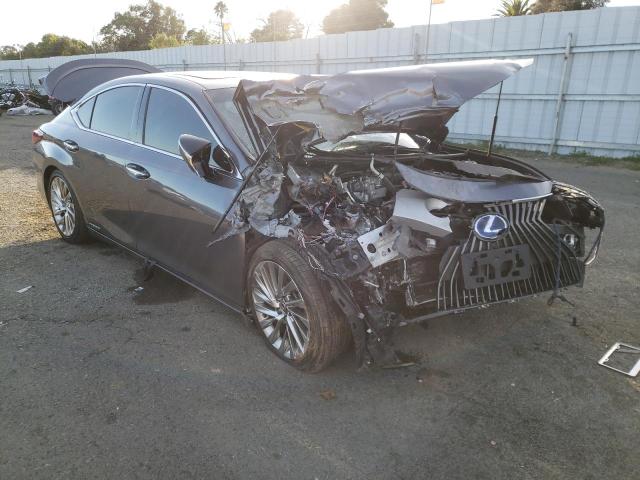 LEXUS ES 300H 2019 with VIN JTHB21B18K2034918 - Photo from auction