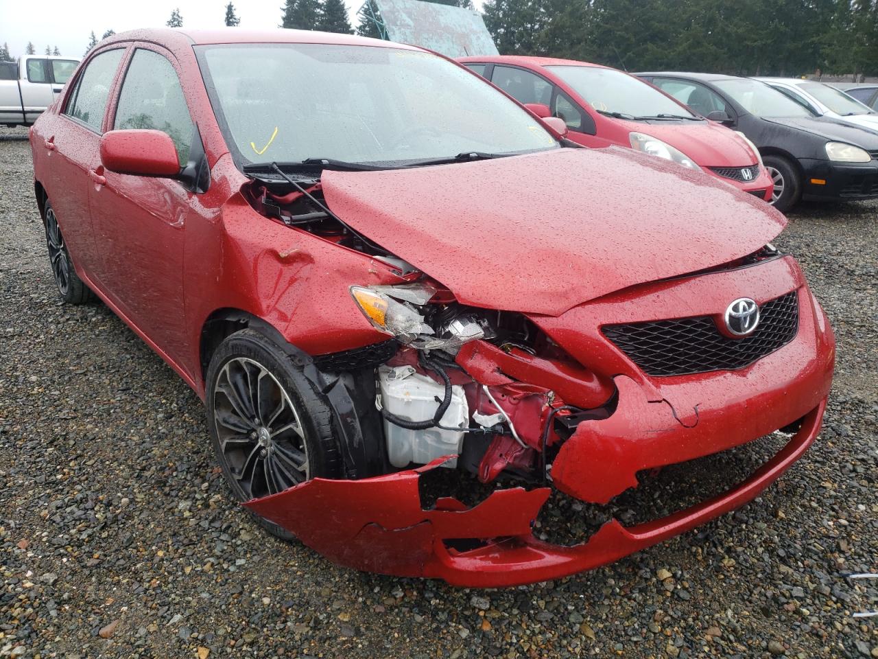 TOYOTA COROLLA BA 2009 with VIN JTDBL40EX99069810 - Photo from auction