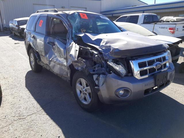 FORD ESCAPE HEV 2008 with VIN 1FMCU49H48KD90095 - Photo from auction