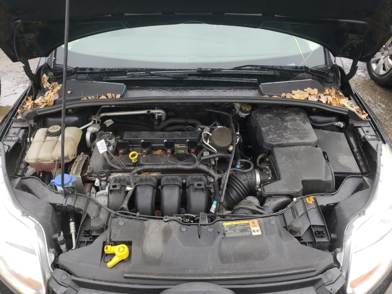 Photo 7 from auction – 2013 FORD FOCUS SE with VIN 1FADP3K23DL282240