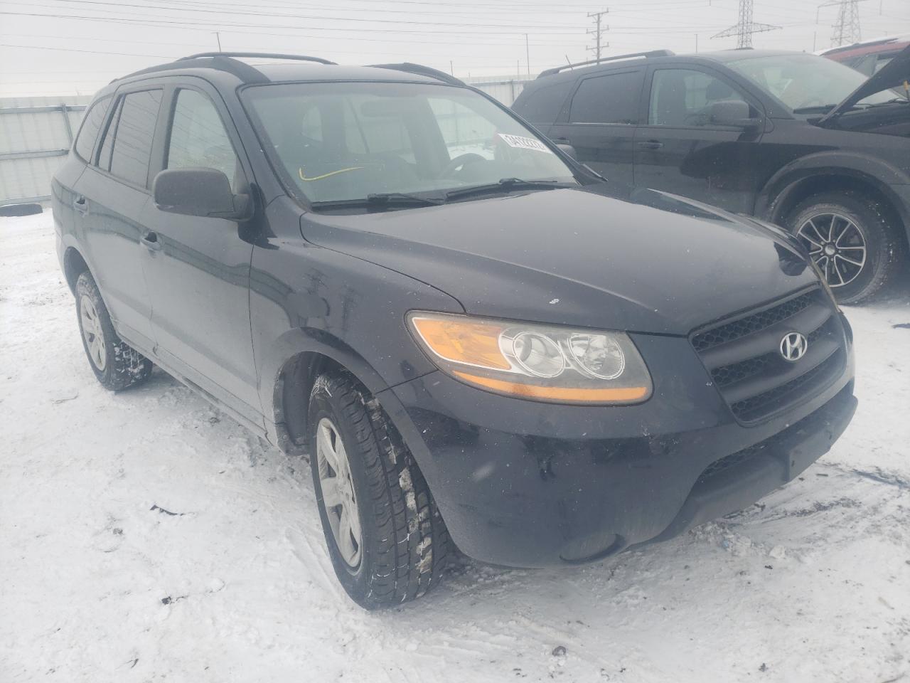 HYUNDAI SANTA FE G 2009 with VIN 5NMSG13D09H307612 - Photo from auction