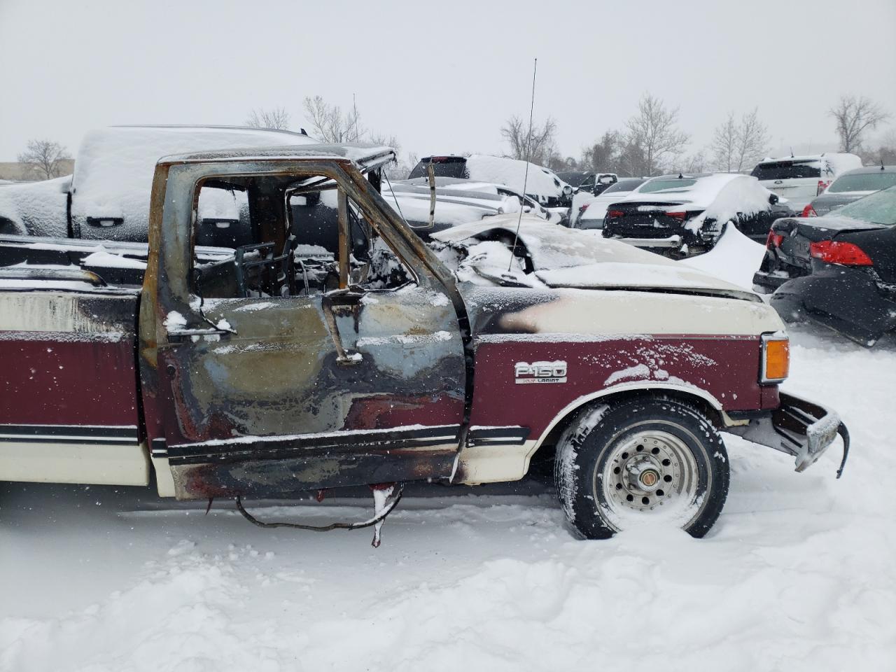 Photo 9 from auction – 1991 FORD F150 with VIN 1FTDF15NXMLA25910