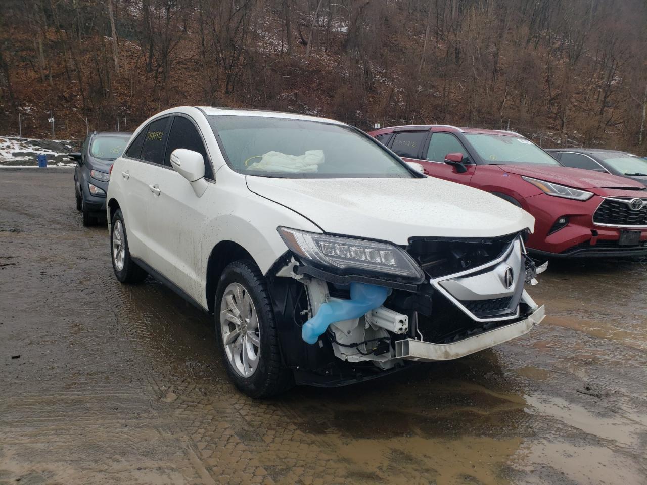 ACURA RDX TECHNO 2017 with VIN 5J8TB4H59HL020810 - Photo from auction