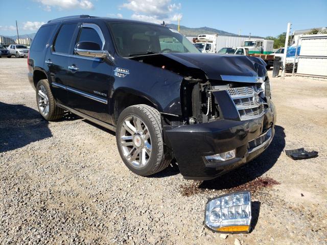 CADILLAC ESCALADE P 2012 with VIN 1GYS3DEF0CR237845 - Photo from auction