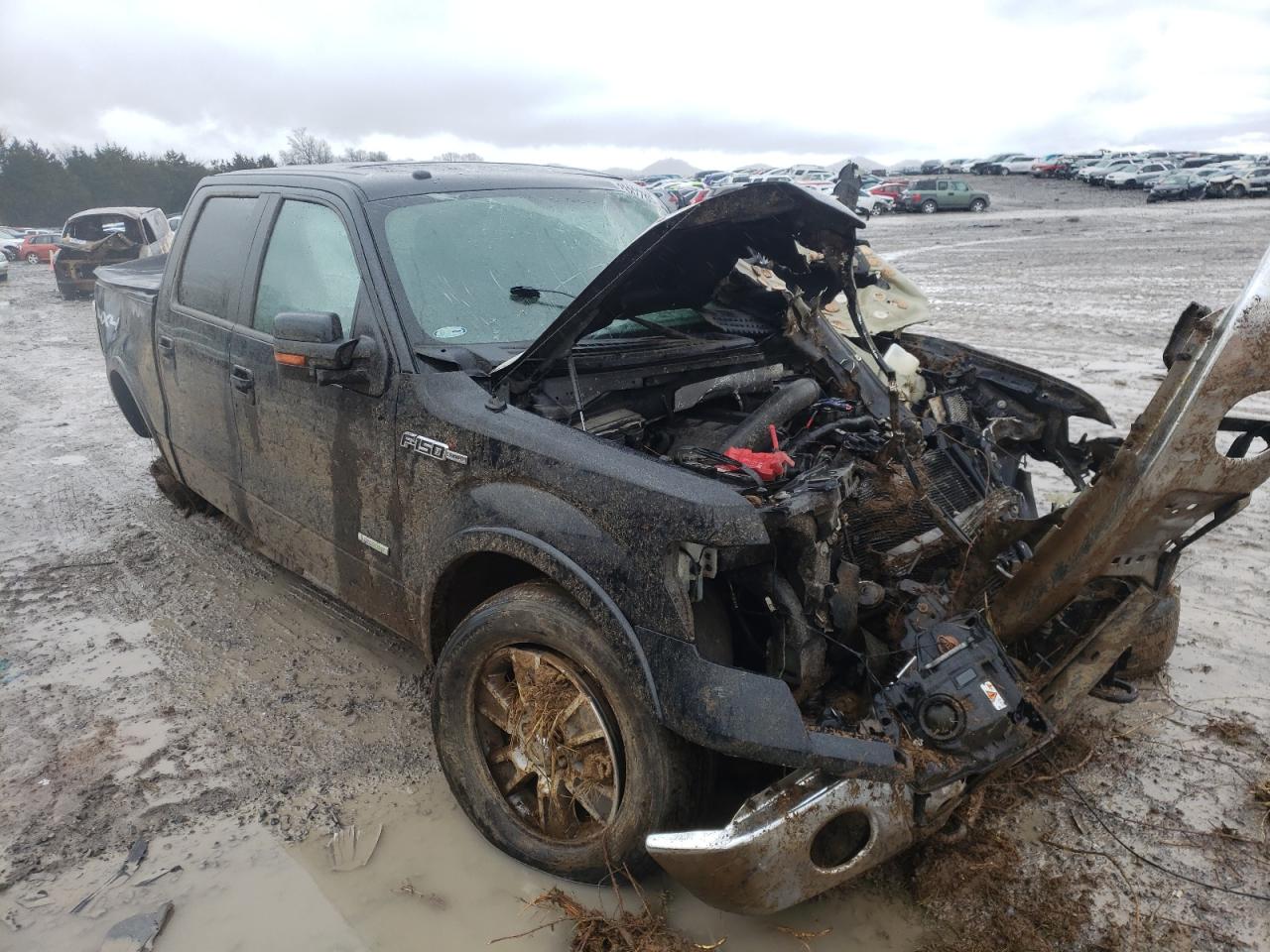 FORD F150 SUPER 2014 with VIN 1FTFW1ET2EKF33772 - Photo from auction