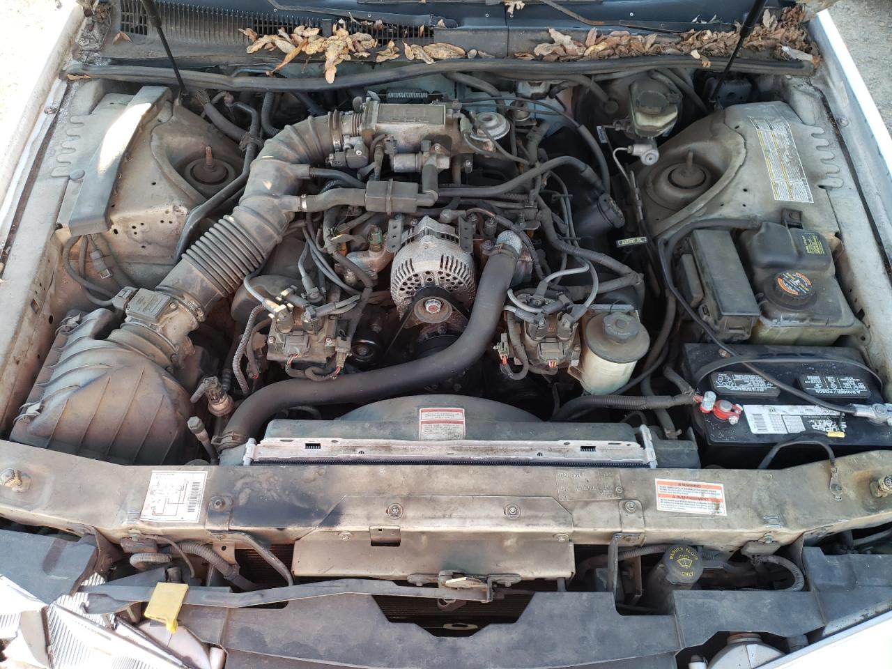 Photo 7 from auction – 1997 FORD THUNDERBIR with VIN 1FALP62W6VH134040