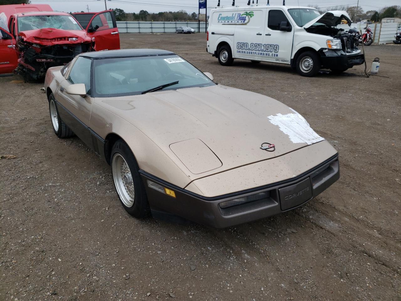 CHEVROLET CORVETTE 1985 with VIN 1G1YY0783F5113601 - Photo from auction