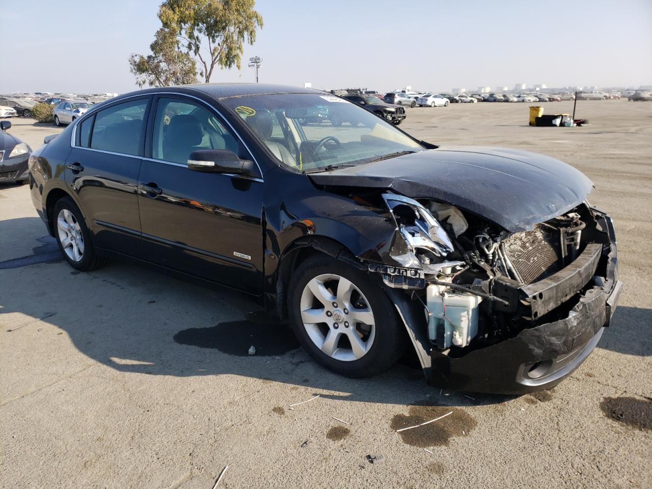 NISSAN ALTIMA HYB 2009 with VIN 1N4CL21E99C118799 - Photo from auction