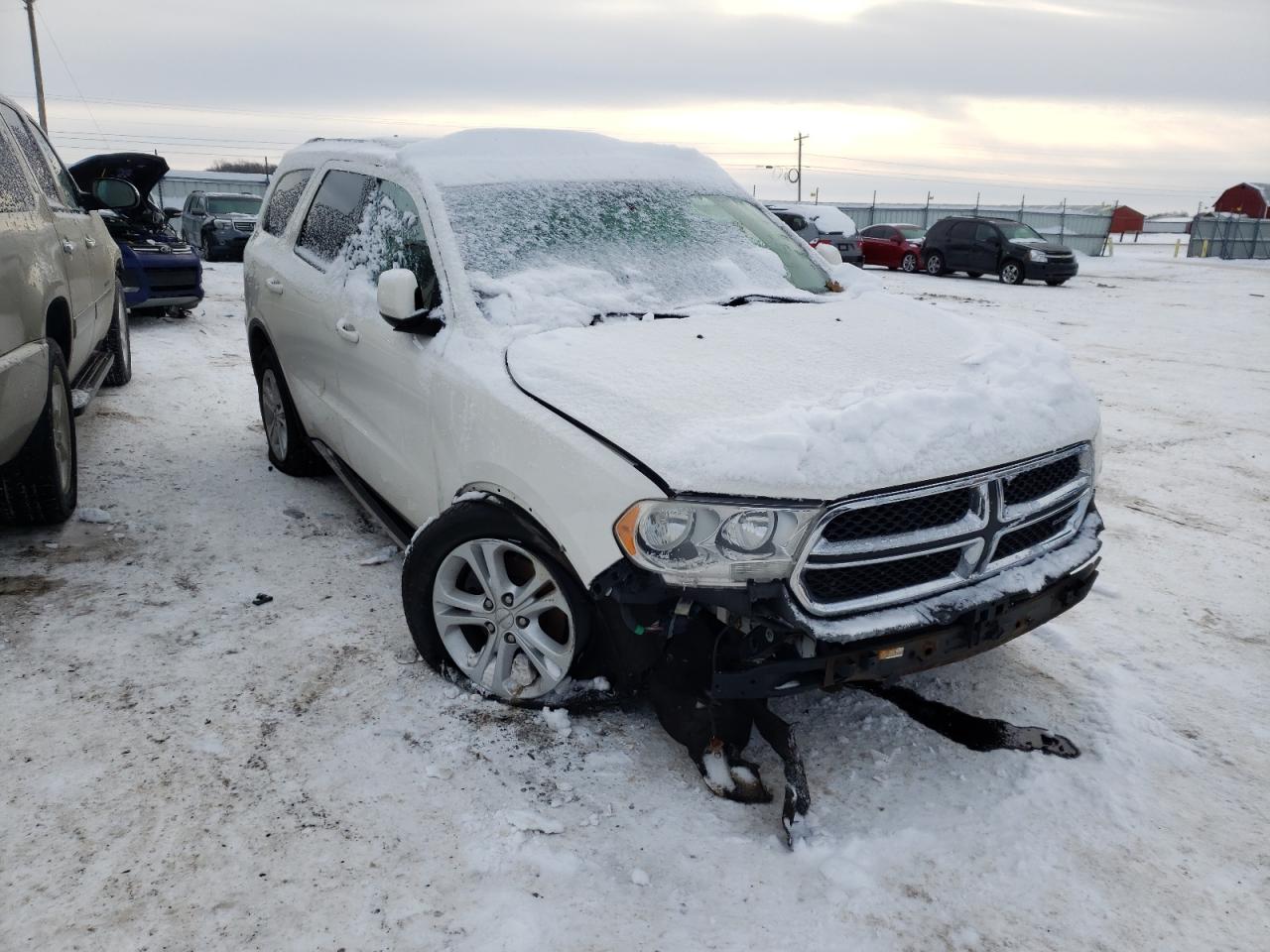 DODGE DURANGO CR 2011 with VIN 1D4RE4GG6BC625445 - Photo from auction
