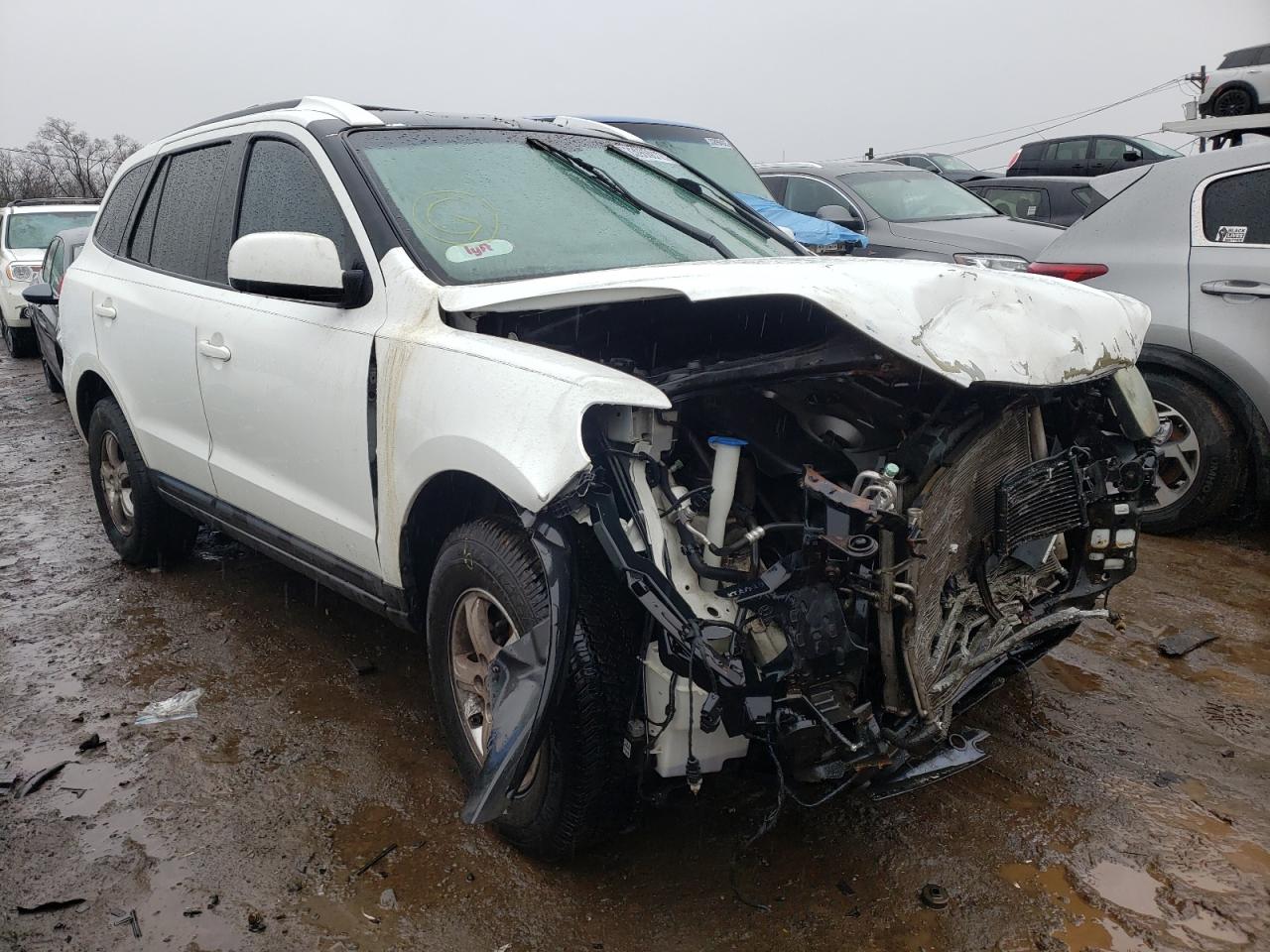 HYUNDAI SANTA FE G 2007 with VIN 5NMSG73D17H054820 - Photo from auction