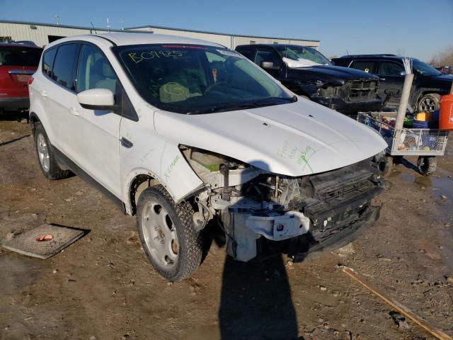 FORD ESCAPE SE 2013 with VIN 1FMCU0GX1DUB09825 - Photo from auction